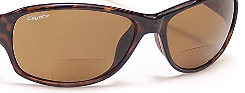 Coyote Eyewear Contemporary3