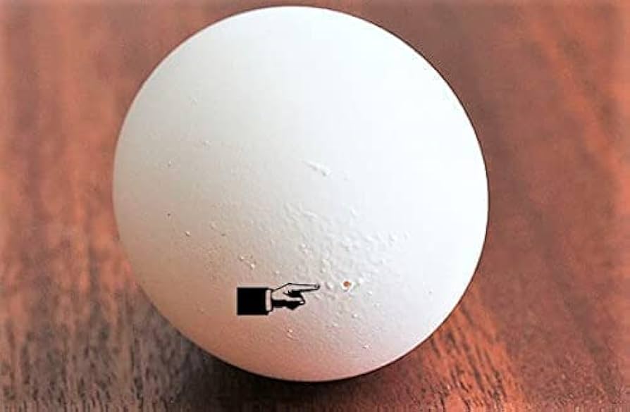 Amazon | たまごの穴あけ器 ゆで卵のカラがツルッとむける ネコ