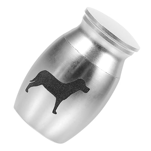 Totority ybg D  ̒ ybgV̊ ybg̊D ̋LO  ߂ L̋LO L Α ̊D  ~j L̈⍜ Silver 