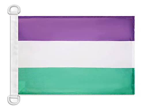 AZ FLAG Suffragette Boat Flag 45x30 cm Mesh Polyester Plastic Rings