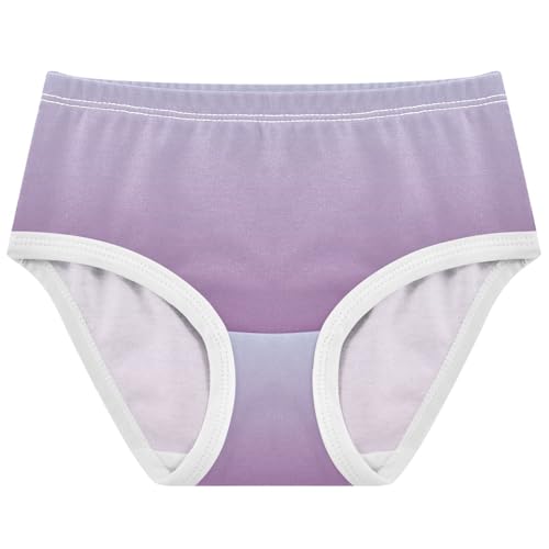 Joisal Elegant Blue Plum Gradient Cute Panties Girl Girls Underwear Toddlers Cotton Fancy Kids Undies Briefs 2t