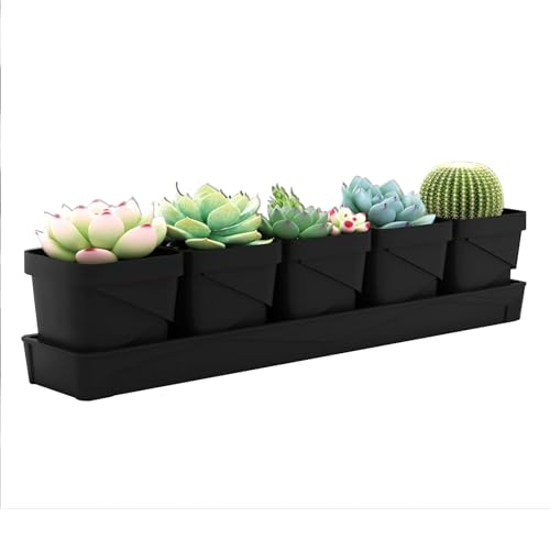 IGTOPS Macetas para plantas de interior con bandeja, 5 piezas, para tu jardín de hierbas y alféizar de la ventana, decoración interior, para albahaca, menta, perejil (negro)
