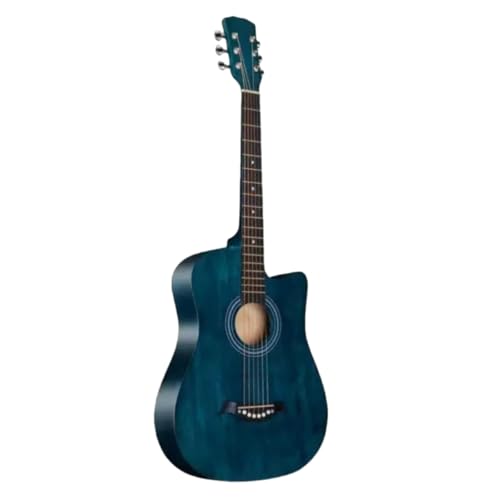 jhhuuyaAR[XeBbNM^[ 38C` 10_Zbg SғZbg w KM^[ ARM q lp Jb^EFC \tgP[Xt ^ѕ֗ S guitar (G,38C`)