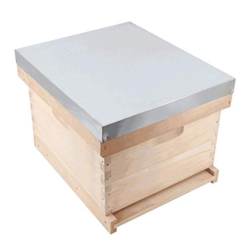 cote ruche Hoffmann Langstroth 10 Frame Tenon Hive