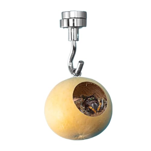Jumping Spider House - Natural Gourd 3.94 pulgadas | Magnetic Jumping Spider Hiding Habitat | Jumpinğ Śpider with Magnetism Hiding Nest | Jumpinğ Śpider Enclosure Accessories Natural Gourds