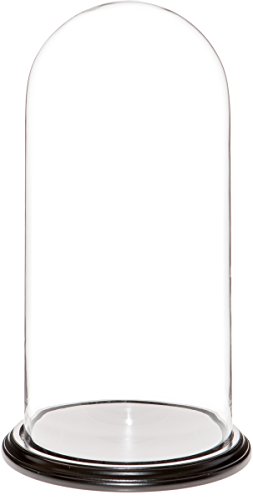Plymor 9.75 x 20 Glass Display Dome Cloche (Black Wood Veneer Base) Plymor 9.75" x 20" Glass Display Dome Cloche (Black Wood Veneer Base)