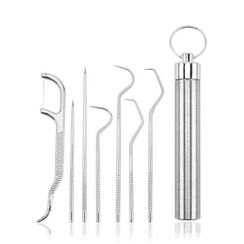 YiYFiT Juego de 7 palillos de dientes de acero inoxidable 304 de grado alimenticio, soporte para palillo de dientes de bolsillo portátil plateado, palillo de dientes de metal reutilizable con un tubo