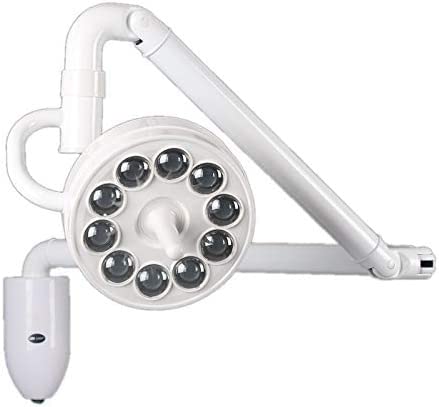 Medizinische Untersuchungsleuchten Professionelle Zahnärztliche OP-Leuchte, 30 W, Wandmontierte LED-Munduntersuchungsleuchte, Schattenlose Lampe, Kaltes Licht, For Tierkliniken, Labore, Kliniken.