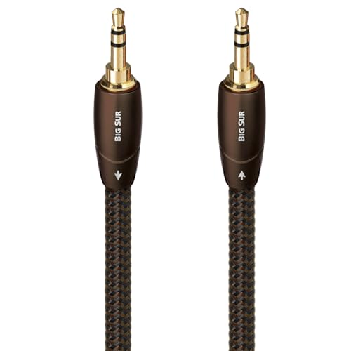 AudioQuest Big Sur Cable
