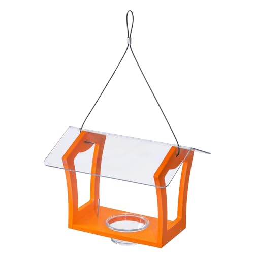 Birds Choice Oriole Bird Feeder | Hanging Bird Feeder for Jelly & Orange Halves | Includes Cup & Fruit Pegs | Recycled Plastic | Sturdy for Garden, Backyard, & Outdoor | 3/4 Cup Capacity, Orange