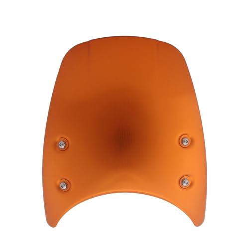 Déflecteur pare-brise de moto contre la fatigue du vent 1200BE