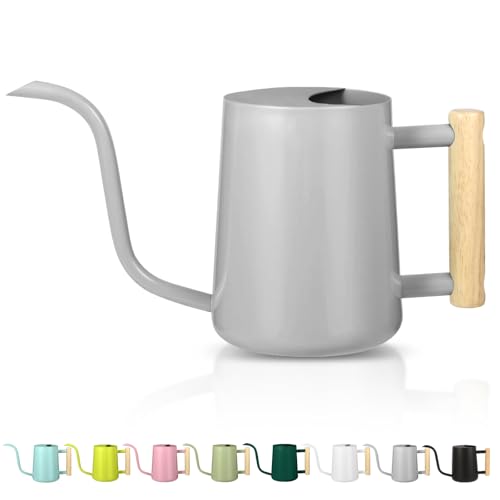 Watering Can Indoor Plants, 35oz Small Indoor Stainless Steel Metal Watering Can Modern Decorative...