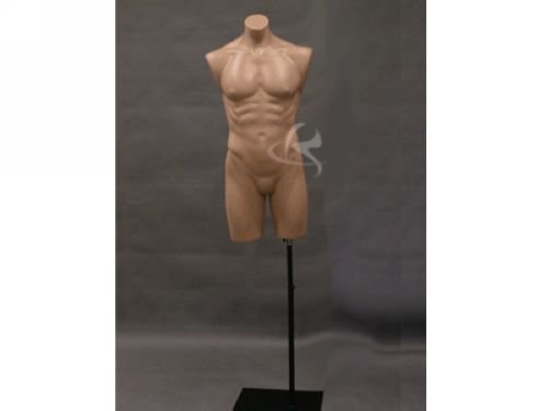 (PS-p908f+bs-05bk) ROXY DISPLAY(r) Male Full Round Plastic Mannequin Torso w/Black Base