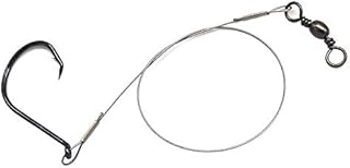 Fishing Hook with Steel Leader Single Eagle Claw Hook Bottom Fishing Rig-10pcs Nylon Coated Fishing Wire Leader Rigs (Hook Size:2/0)
