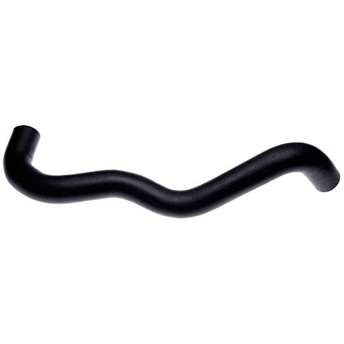Gates 22780 Lower Radiator Hose