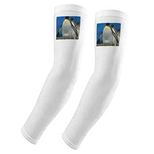 Funda para brazo deportiva de pingüinos para ciclismo y senderismo