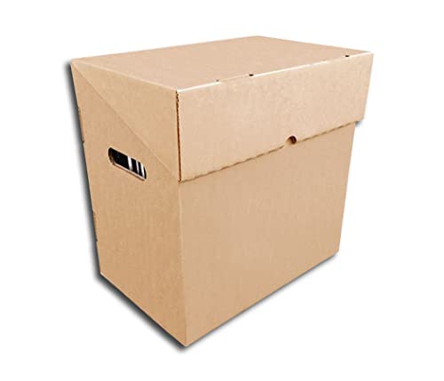 Protected LP (12inch) Smart Pappbox