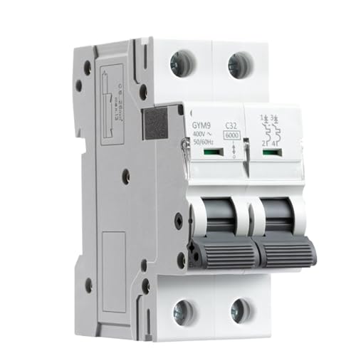Disjoncteur bipolaire rail DIN 230V AC mini MCB 6A 16A 32A 63A pour coffret modulaire