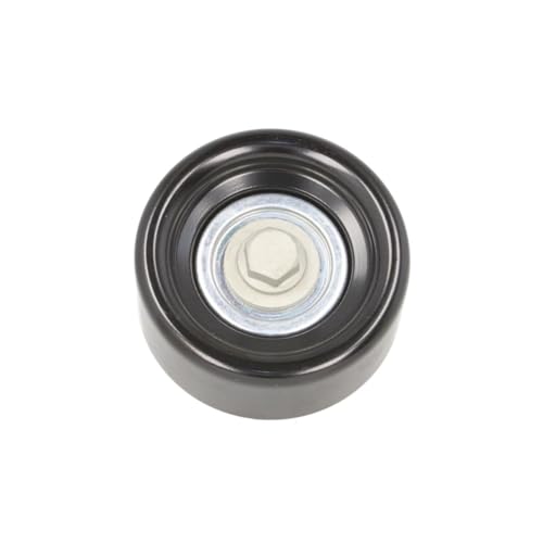 INA 532 0614 10 Galet enrouleur pour stopper les bruits de courroie
