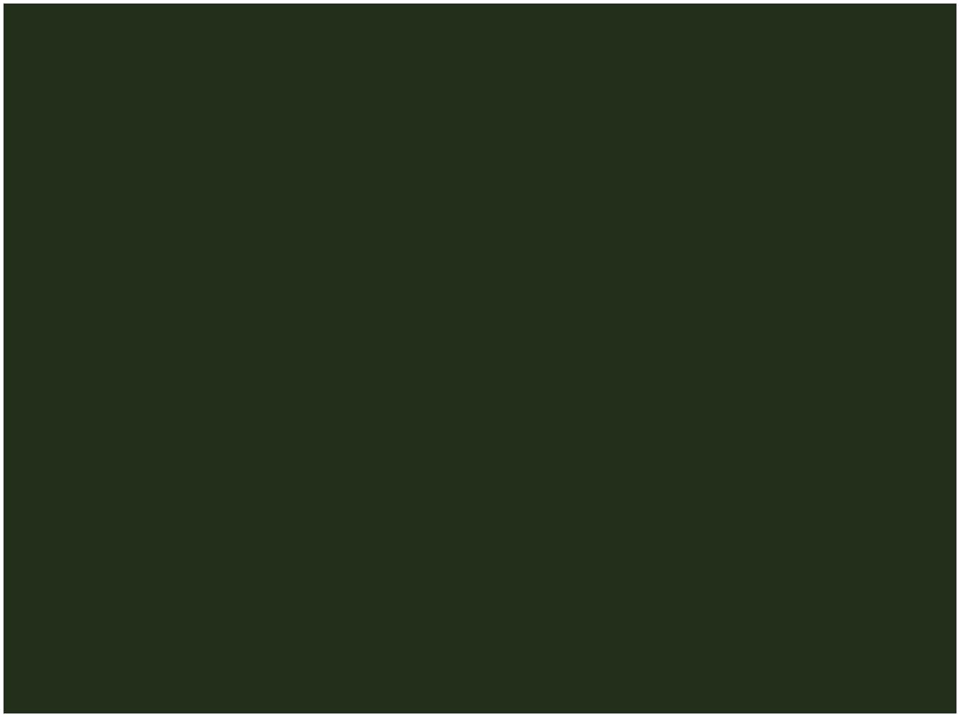 A1 Mount Boards (50 Colours to Choose from) Pack of 2 (Holy Gree)