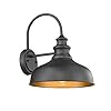 Bestshared Farmhouse Gooseneck Barn Light, Outdoor Wall Sconce, 1-Light Outdoor Black Finish Lantern for Porch with Contrast Color Interior