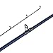 Fenwick Eagle Salmon/Steelhead Casting Fishing Rod