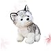 FUNNETOYU Peluche De Perro Husky Posición Sentada Muñeco De Peluche Adorable Juguete Suave para Compañía Nocturna y Decoración Casa o Oficina Imagen de FUNNETOYU Peluche De Perro Husky Posición Sentada Muñeco De Peluche Adorable Juguete Suave para Compañía Nocturna y Decoración Casa o Oficina