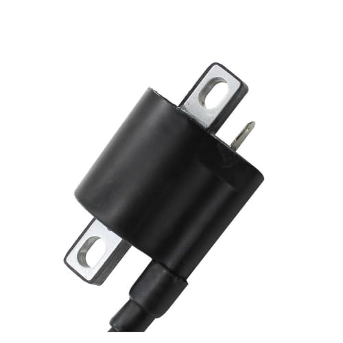 Bobina de encendido universal de 12V para recambios de motor de quad y dirt bike