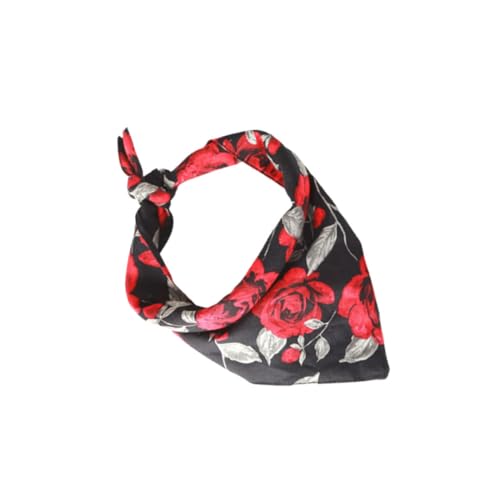 1 悾ꂩ Y̎ o^C ֑̎^ [YhbOOp悾ꂩ ̏e Op`̌̃XJ[t ɐB ̑t ̎ւ悾ꂩ ybg̎ւ̑ YARNOW