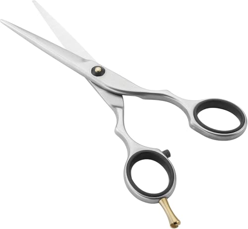 ZWILLING Haarschere (Professionelle Friseurschere für scharfen und präzisen Schnitt), Premium, Silber, 140 mm