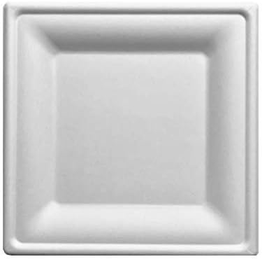 125 Square Paper Plates for Salad, Dessert, and Appetizers | Eco Friendly Biodegradable Plates made from Bagasse by Conscious Products