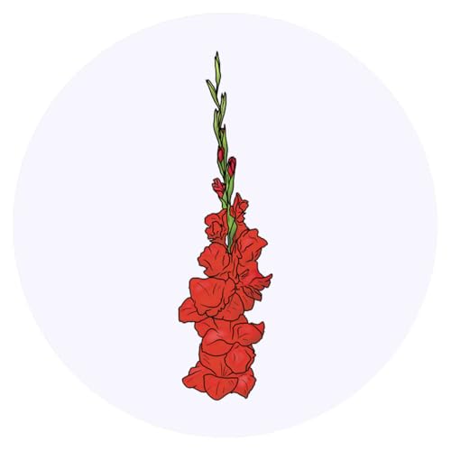 24 x 40mm Round 'Gladiolus' Stickers (SK00056056)