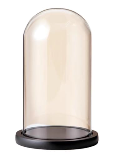 HAEUYA Cloche en Verre, vitrine de Table