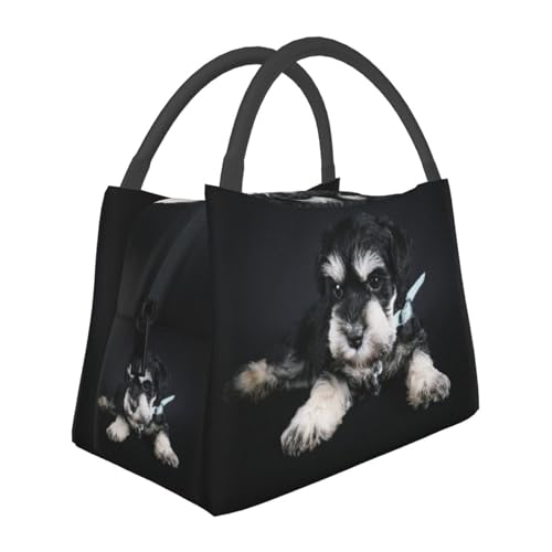 �~�j�`���A�E�V���i�E�U�[ �q�� �ۗ� ���܌� �����`�o�b�O �u���b�N ���ٓ��� �ۉ� �t�@�X�i�[�t�� �R���p�N�g ���ٓ��� �\�t�g �g�[�g�E�G�R�O�b�Y �ʋ� �ʍZ ���s �s�N�j�b�N