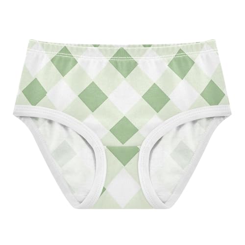 Cotton Briefs Underwear Moisture Wicking Breathable Toddler Underwear for Toddlers in Sizes 2T,3T, 4T, 5T, 6Y and 8Y