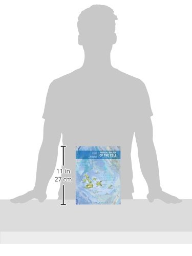 Physical Biology of the Cell - Image 2