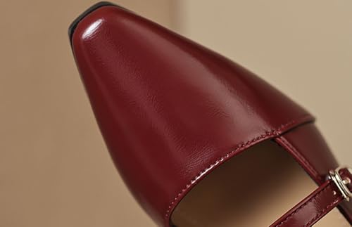 Niction Women's Mary Jane Flats Retro Square Toe Pu Leather Double Strap Soft Work Slip on Ballet Flat Womens Dress Shoes for Work Walking Driving4