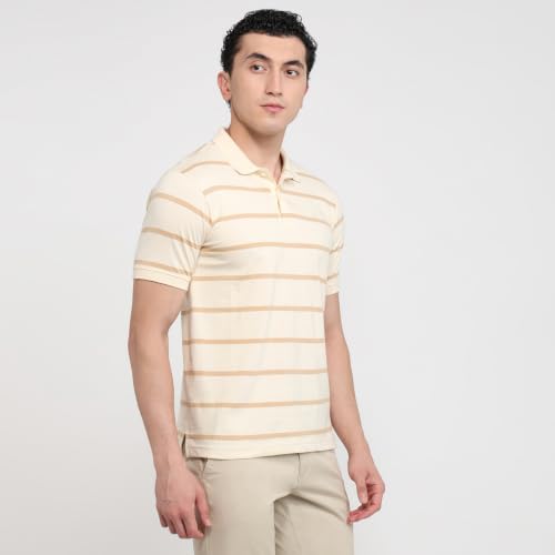 Image of Raymond Men Modern Fit Stripe Pattern Pure Cotton Polo Neck Half Sleeve Casual T-Shirt