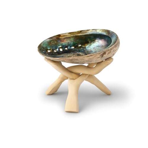 AoVF RuX^h VRLk F JtHjAY pTgz_[ zCgZ[W 󂯎M  (LTCY, X^h/VFZbg)