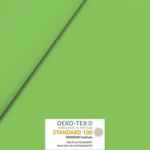 FABRICS-CITY 5391 - Goma EVA para manualidades, 2 mm, color verde pastel