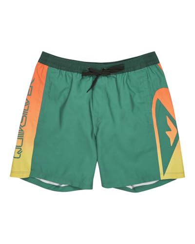 Pañal para nadar de hombre Quiksilver Everyday Holmes Volley de 17 pulgadas para piscina