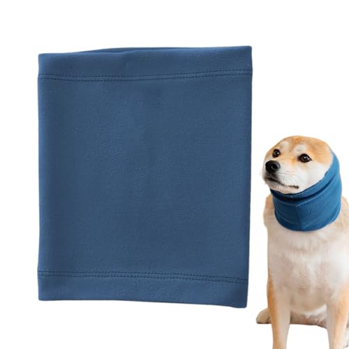 Tuyhnj ̎̃Jo[A̎̃}tی - hbOwbhbvC[ی | ݃RT[ĝ߂̌yʎq̗wbhoh