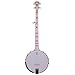 Deering Goodtime 5-String Banjo