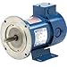 U.S. Motors US Motors Permanent Magnet - DC, 0.25 HP, DC-Phase, 1750 RPM Motor, G636