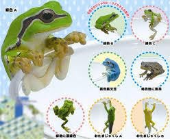 ラッパを吹くカエル ラッパを吹くカエル