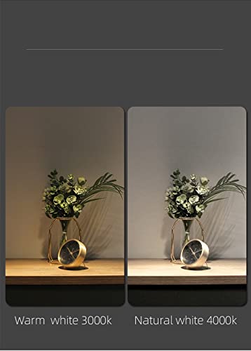 Apliques de pared modernos con acabado dorado cepillado premium y estructura negra de diseño 5