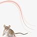 Shulemin Safe Silicone Cat Stick Mouse Tail Cat Toy 1 Set Cat Stick Interactive Silicone Cat Teaser Toy with Replaceable Top Simulated Mouse Tail Pink
