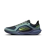 NIKE Pegasus 41 Gore-TEX Men s Running Shoes