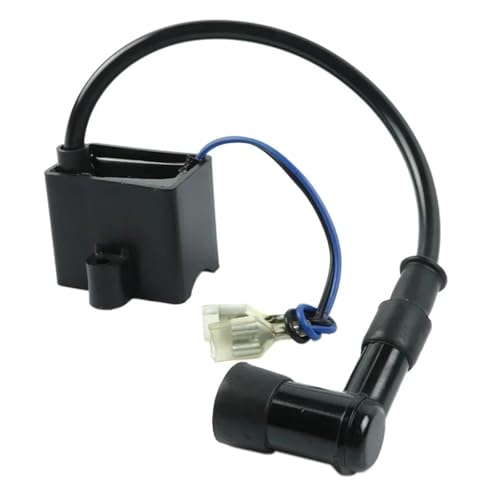 �I�[�g�o�C�̓_�΃R�C�� �ɓK������ 49cc 50cc 60cc 66cc 80cc 2�X�g���[�N�G���W���d�����]�ԃo�C�NATV�N���b�h�S�[�J�[�g���y�b�g�X�N�[�^�[CDI�C�O�j�b�V�����R�C���p