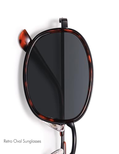 Retro Oval Sunglasses for Women Men Trendy Large Round Y2k Sunnies AP3681